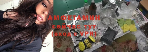 круглые Аркадак